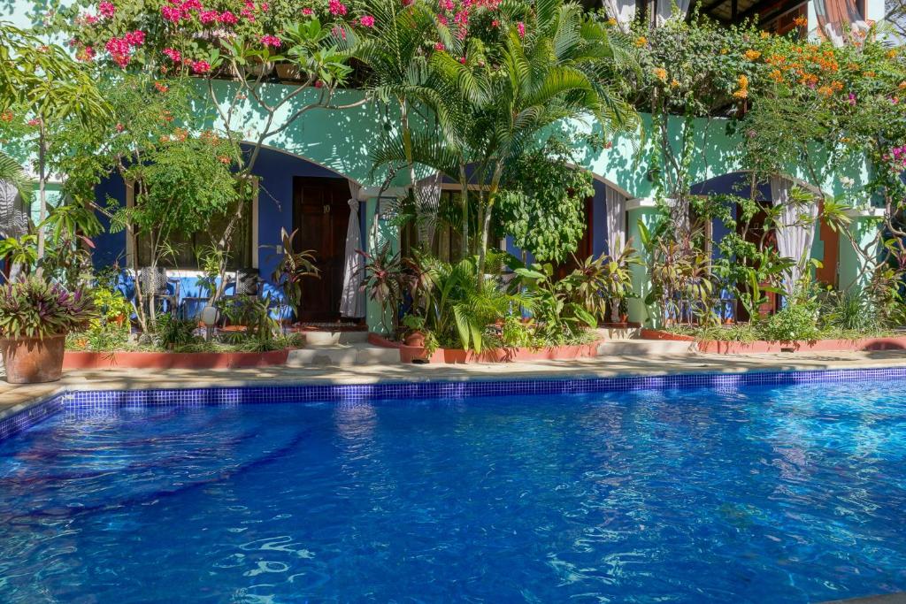 スイミングプール