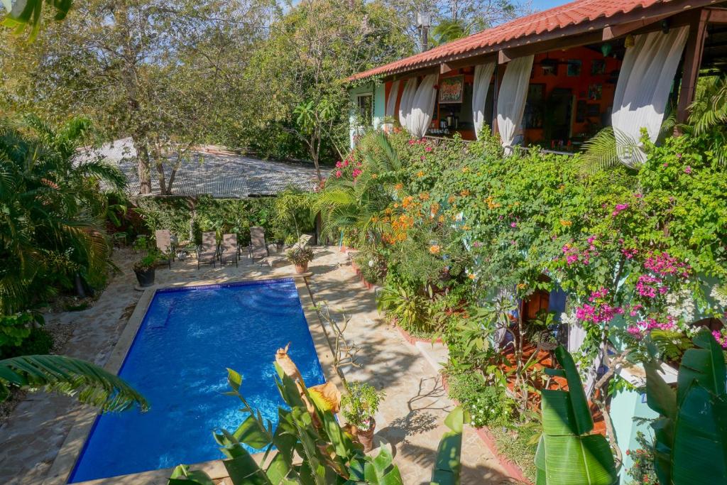 スイミングプール