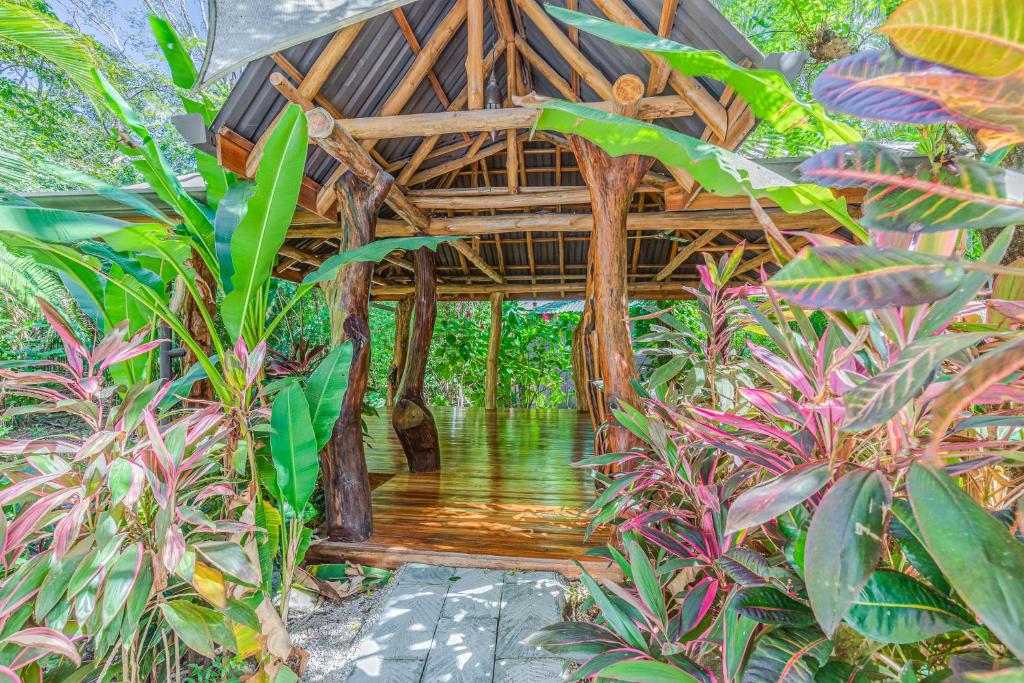 Hotel Guiones photo