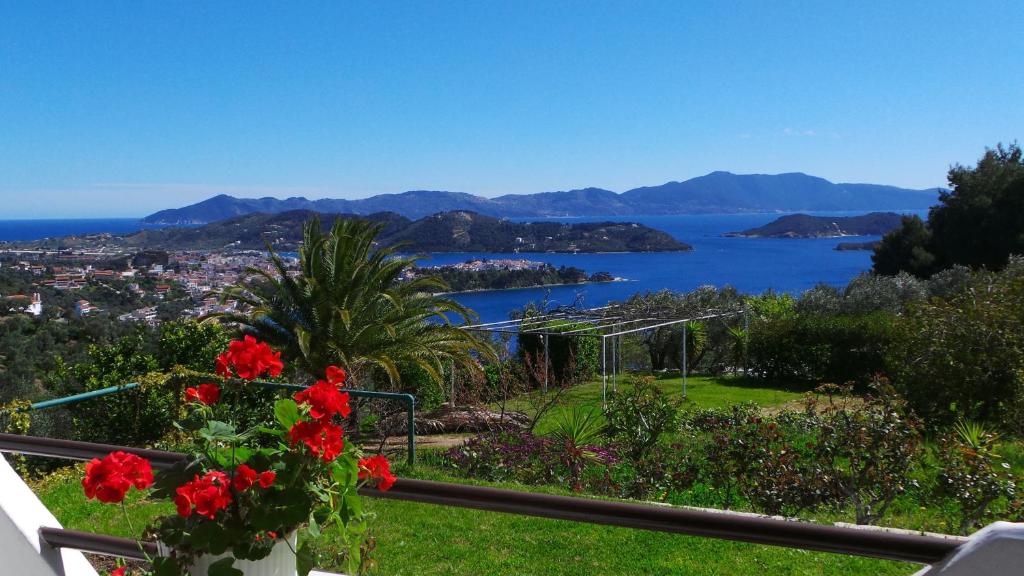 Skiathos Studios Panorama photo