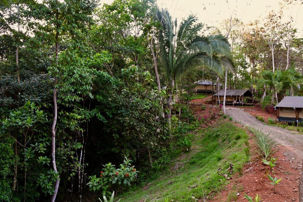 El Pulpo Safari Lodge photo