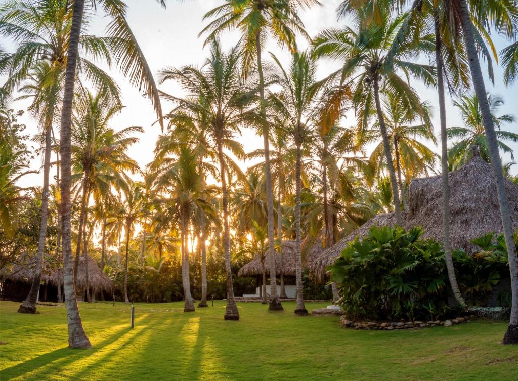 Senda Casalina Ecolodge photo