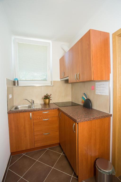 Apartments Benedicic photo