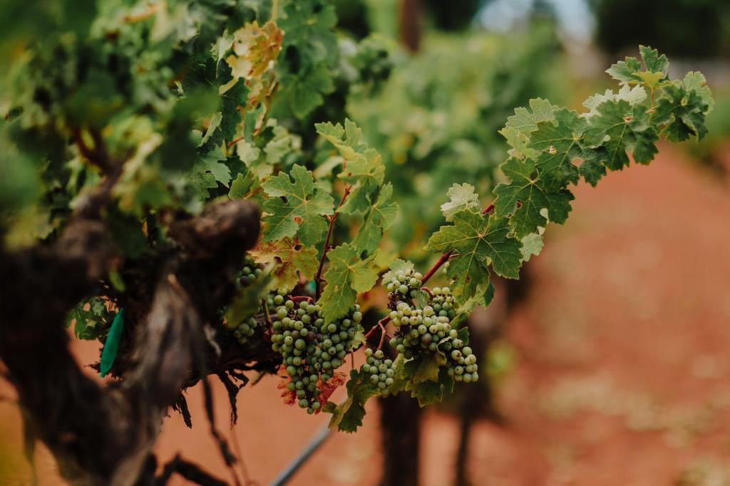 Surrounding environment