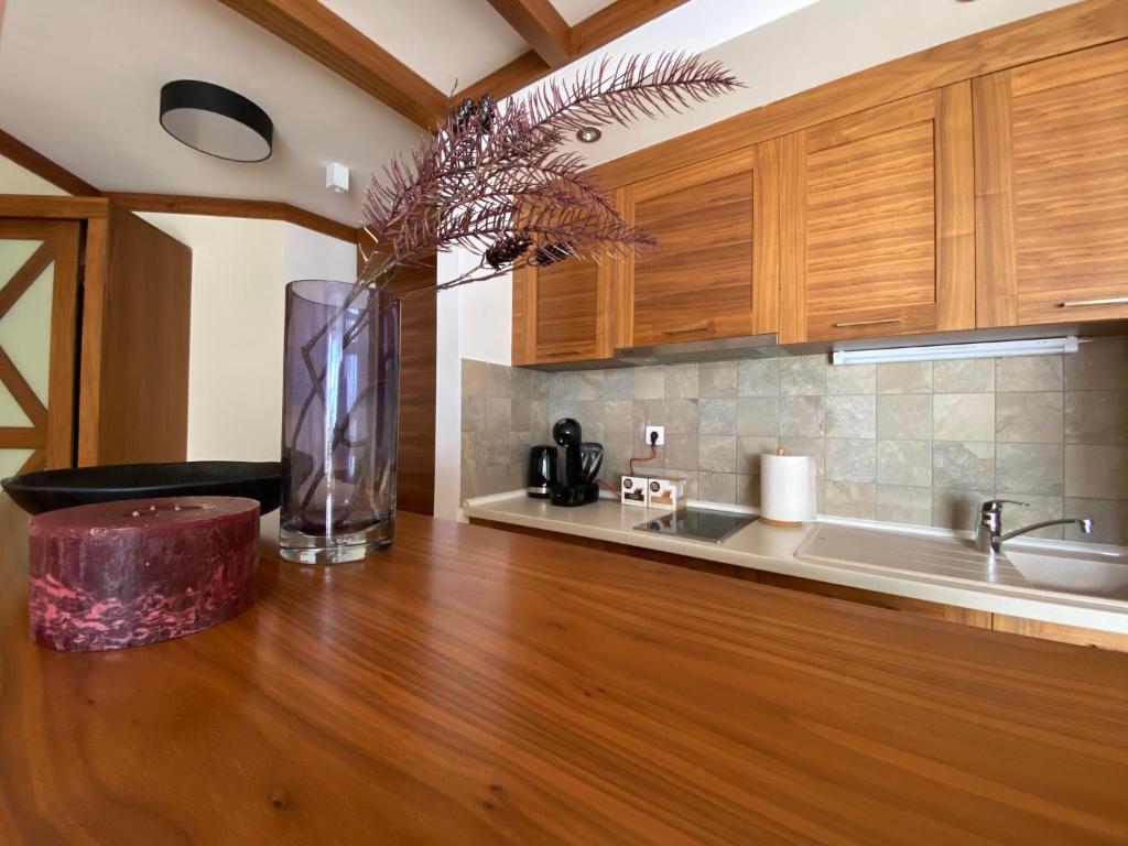 LUX apartman B432 Aparthotel Vučko Jahorina - private host - 3
