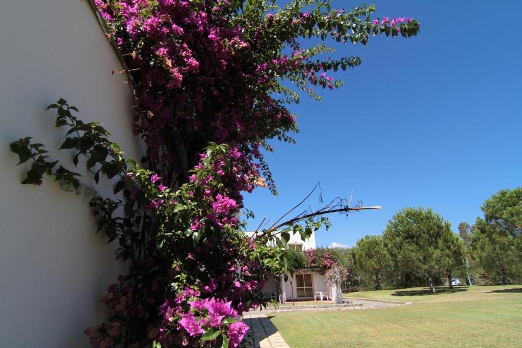 Club Esse Sunbeach — Hotel building in Squillace, Calabria