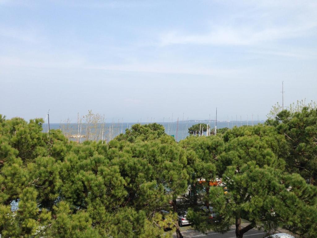 Hotel Plaza photo