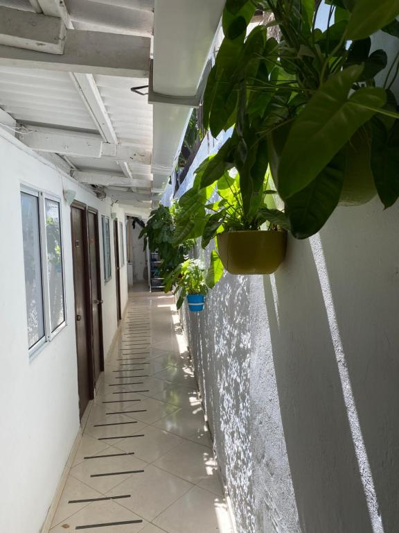 Casa San Juan photo