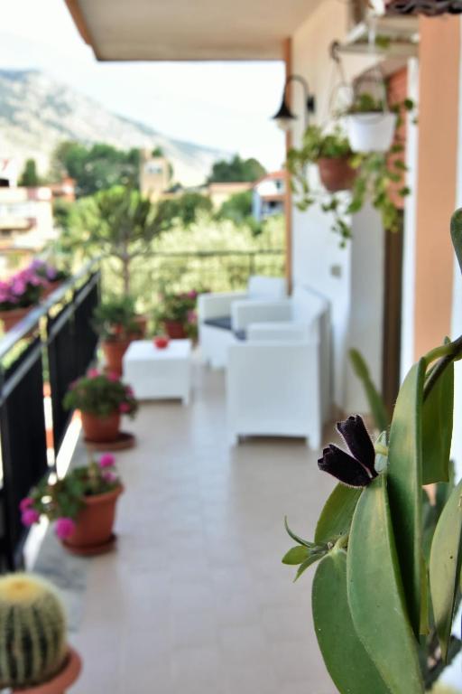 Bed and Breakfast Il Girasole photo