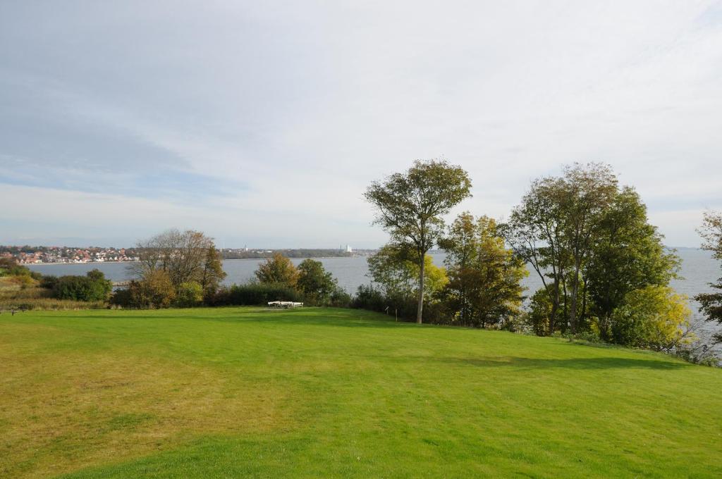 Surrounding environment