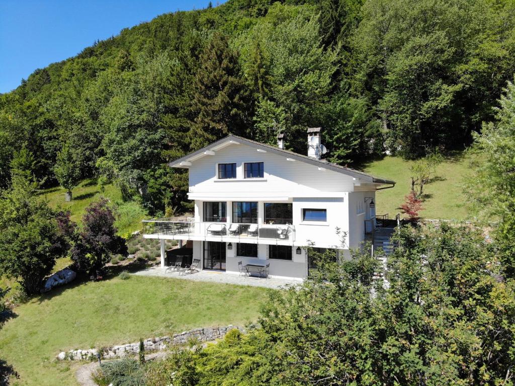 Vue exceptionnelle sur lac d'Annecy et Montagnes - 1