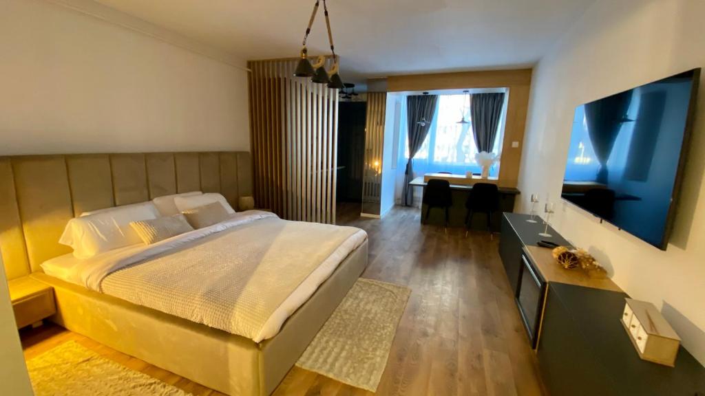 Zabeel Studio, Brašov