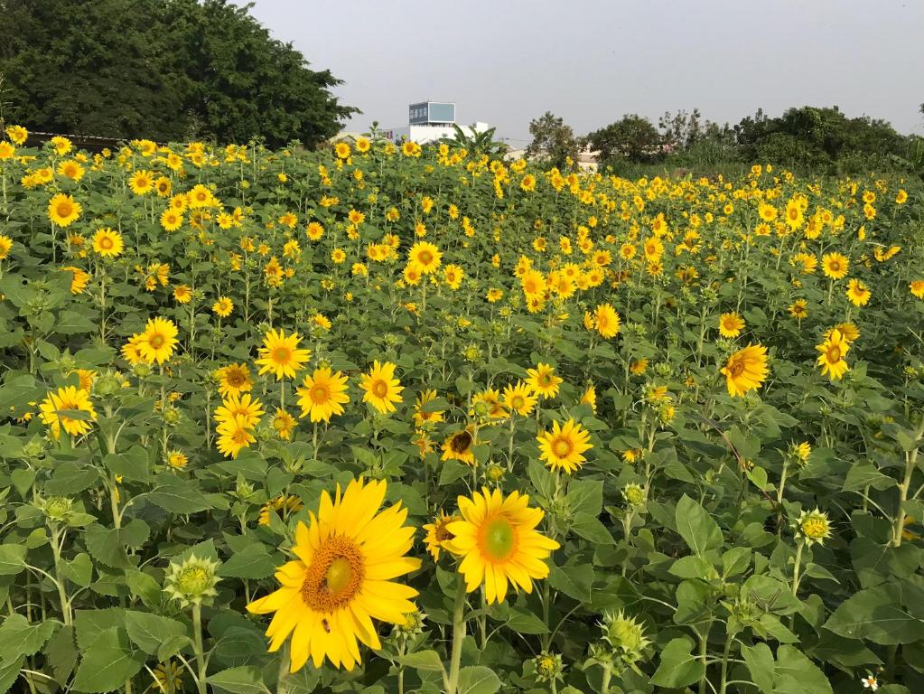 蒔光漫築民宿 photo