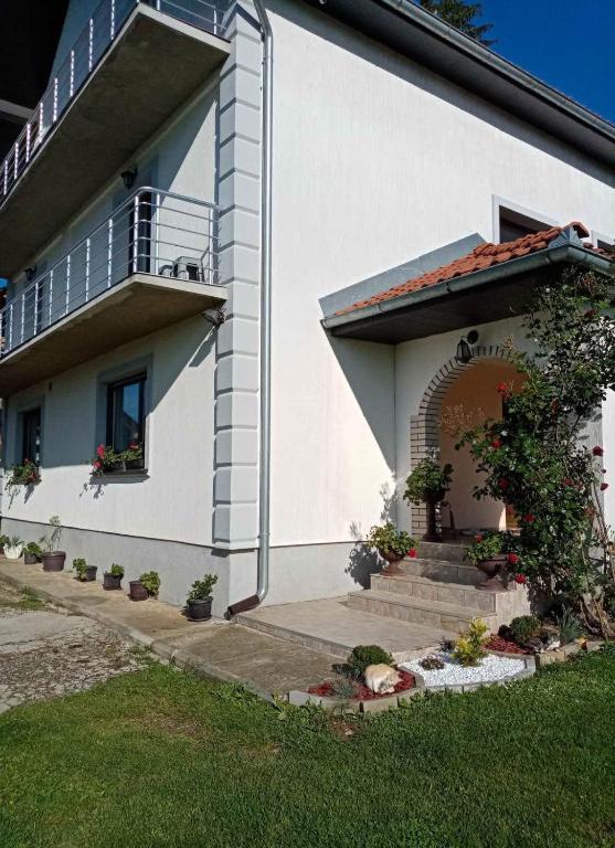 Domacinstvo Sinđelic photo