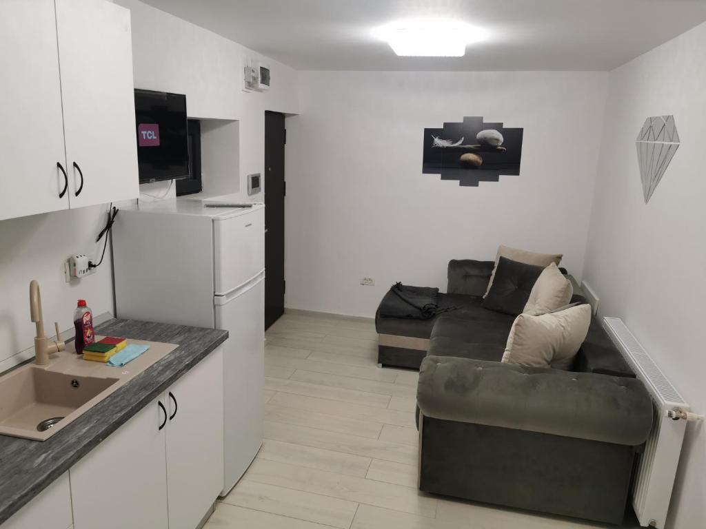 Ảnh 5