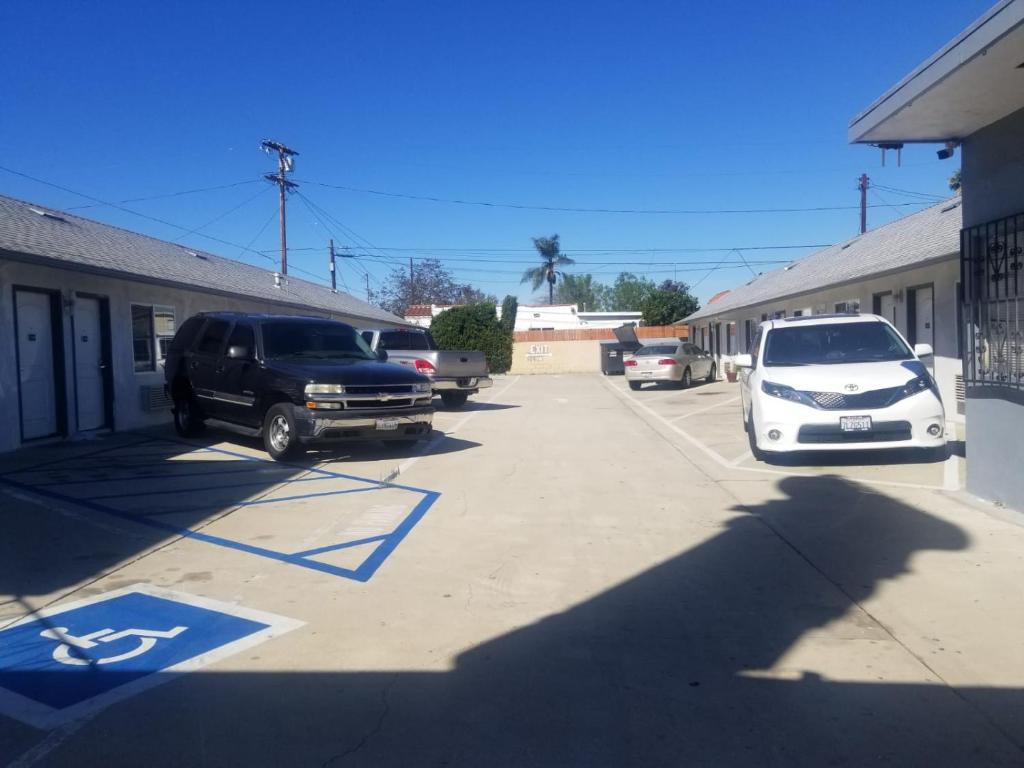 Palm Motel photo