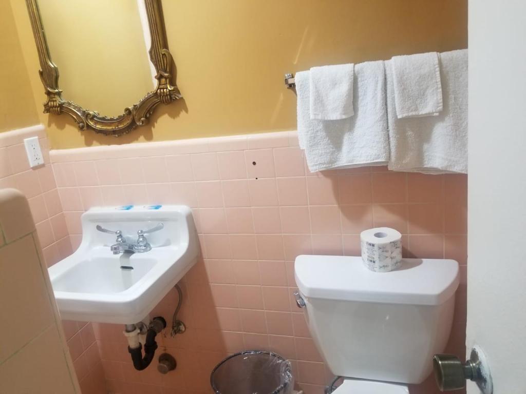 Palm Motel photo