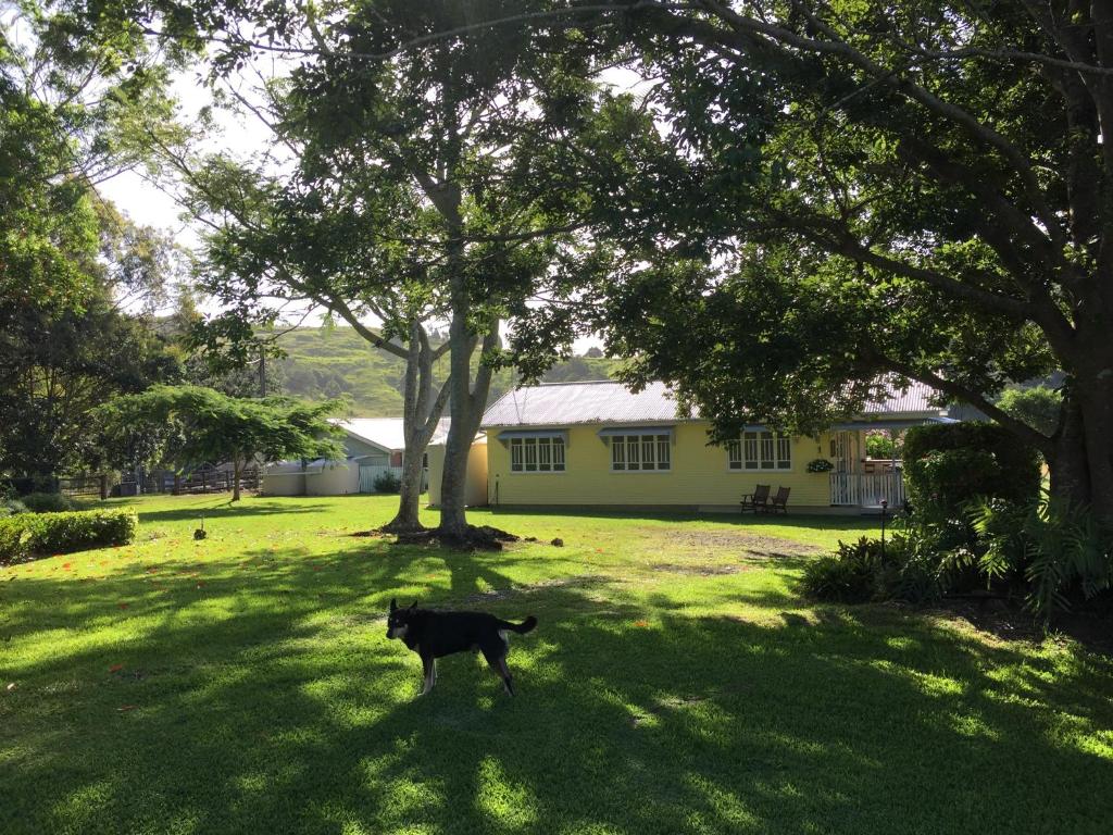 CedarBrae Country Stay photo