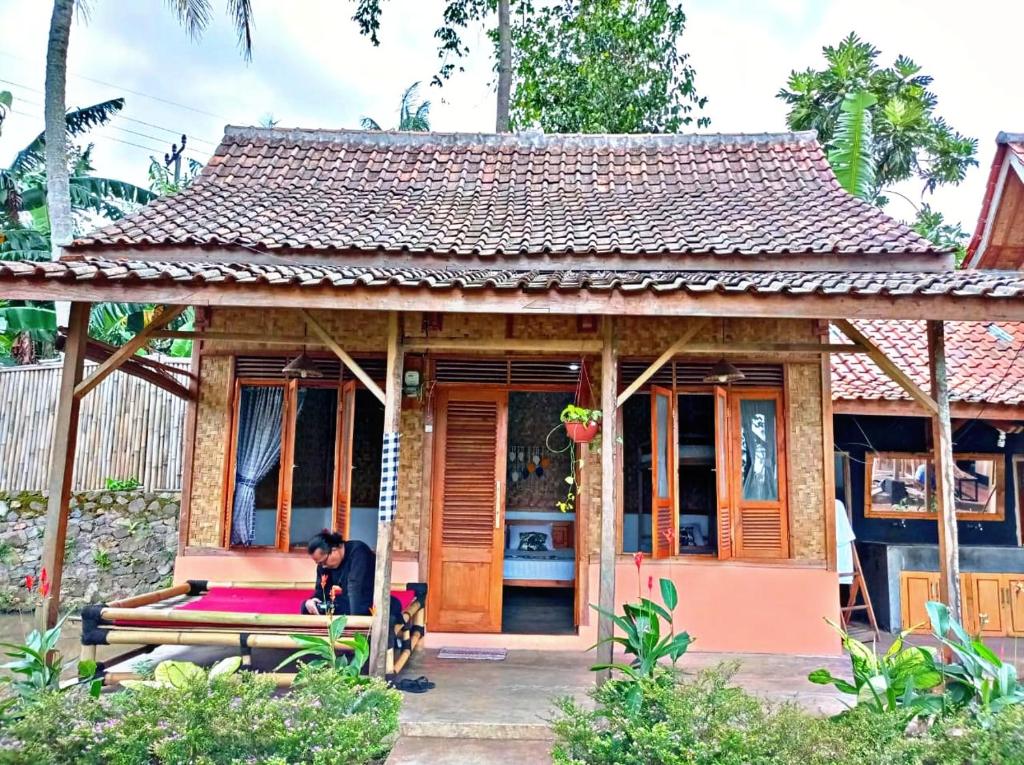 Paddies Homestay New