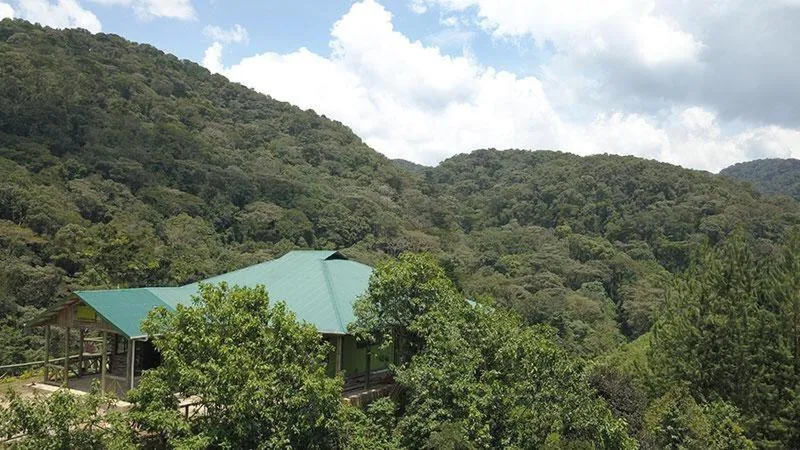Gorilla Hills Eco-lodge, hotel in Kisoro