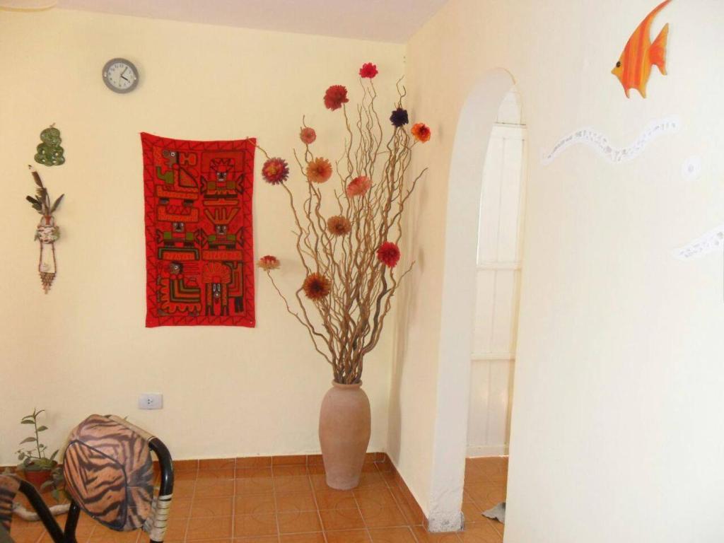 Oasis Pa Clau - 5