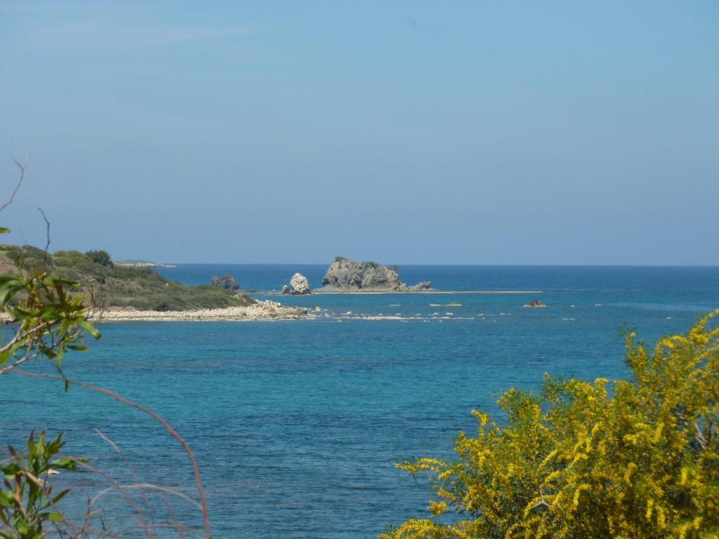 Aphrodite Beach Hotel — Plaża in Neo Chorio, Region Pafos