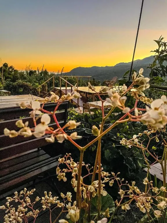 Casa 1800 Ataco Hotel Boutique，位于康塞普西翁德阿塔科的酒店