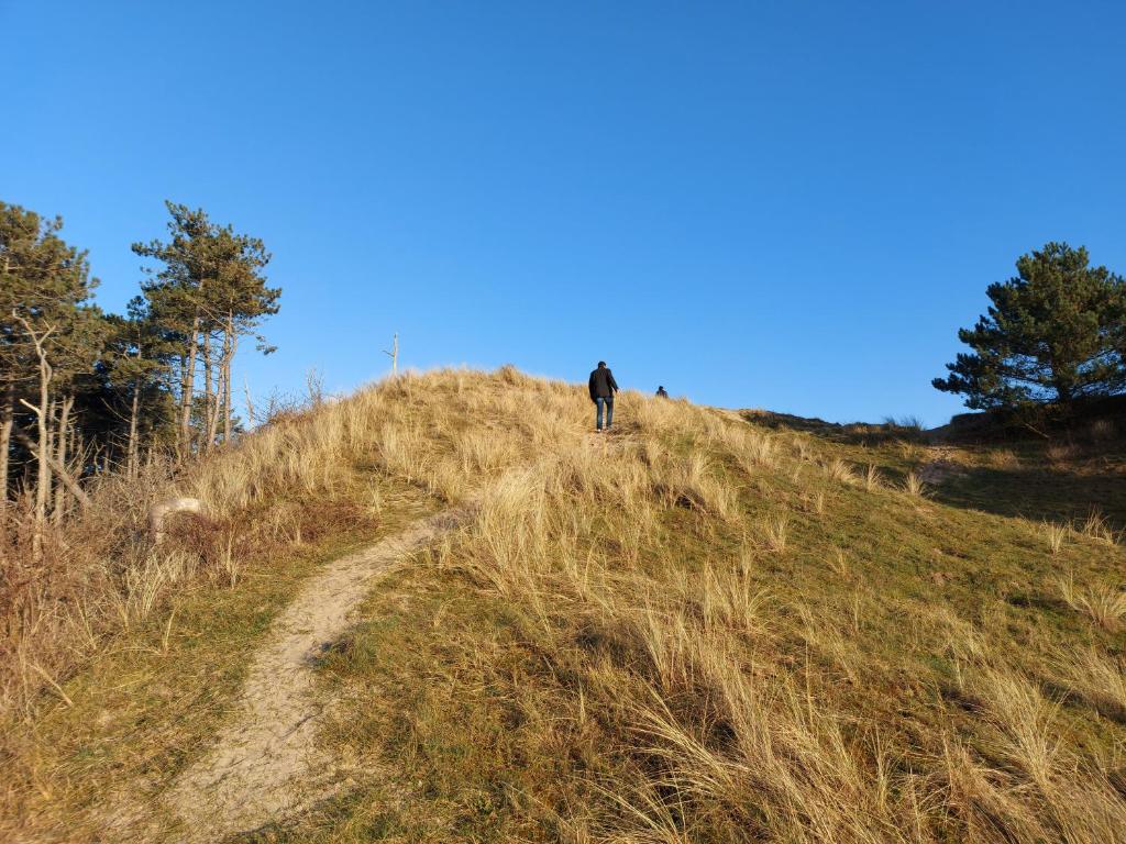 Surrounding environment