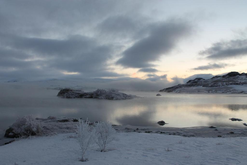 Surrounding environment