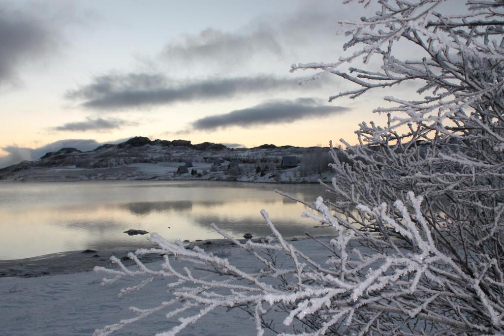 Surrounding environment