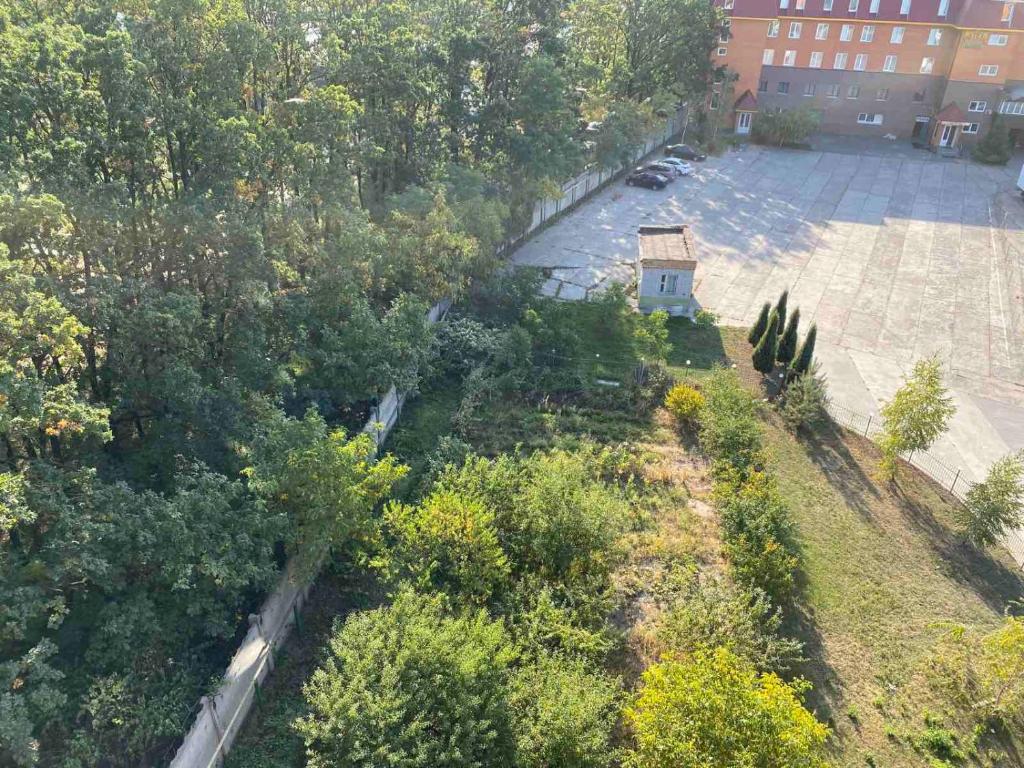 Тиса Економ photo