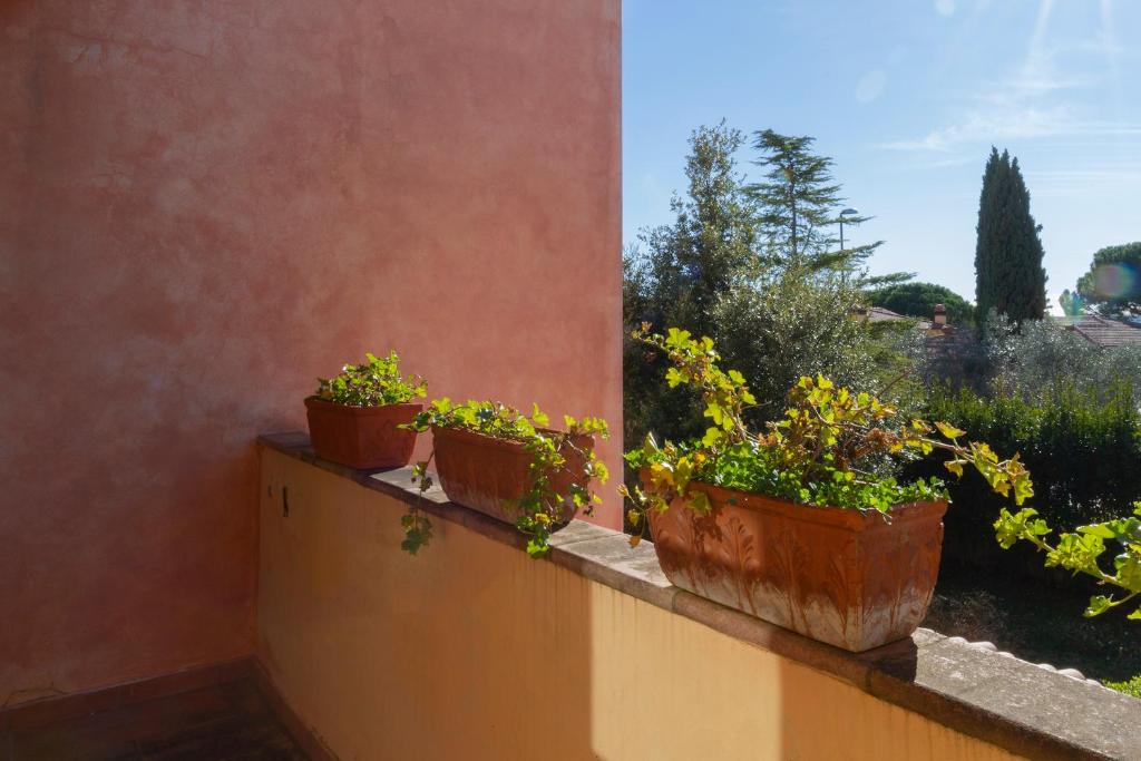 Rosso Del Chianti photo