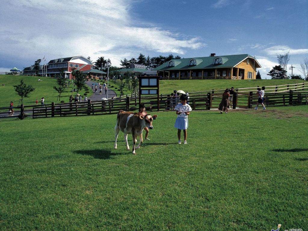 Nearby attraction