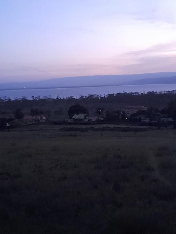 Chena Furnished Apartments in Nakuru, Kenya reviews, prices