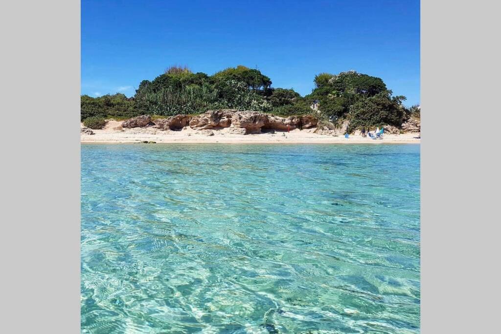 TRULLI nel cuore della Valle d’Itria con PISCINA privata - 5