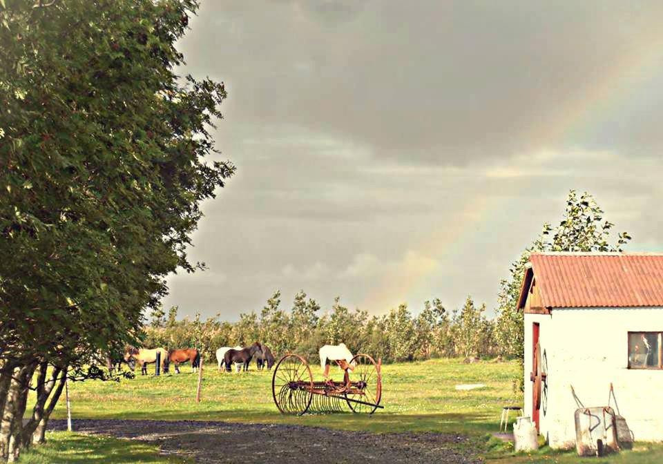 Rauðuskriður farm photo