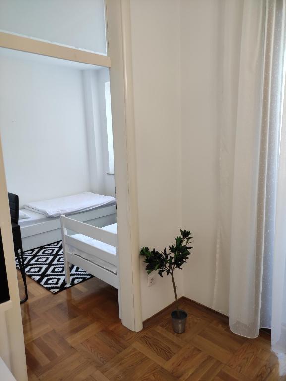 Apartment Dajak photo