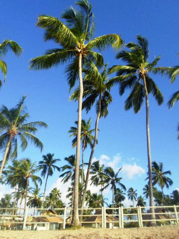 Carneiros Beach Resort photo