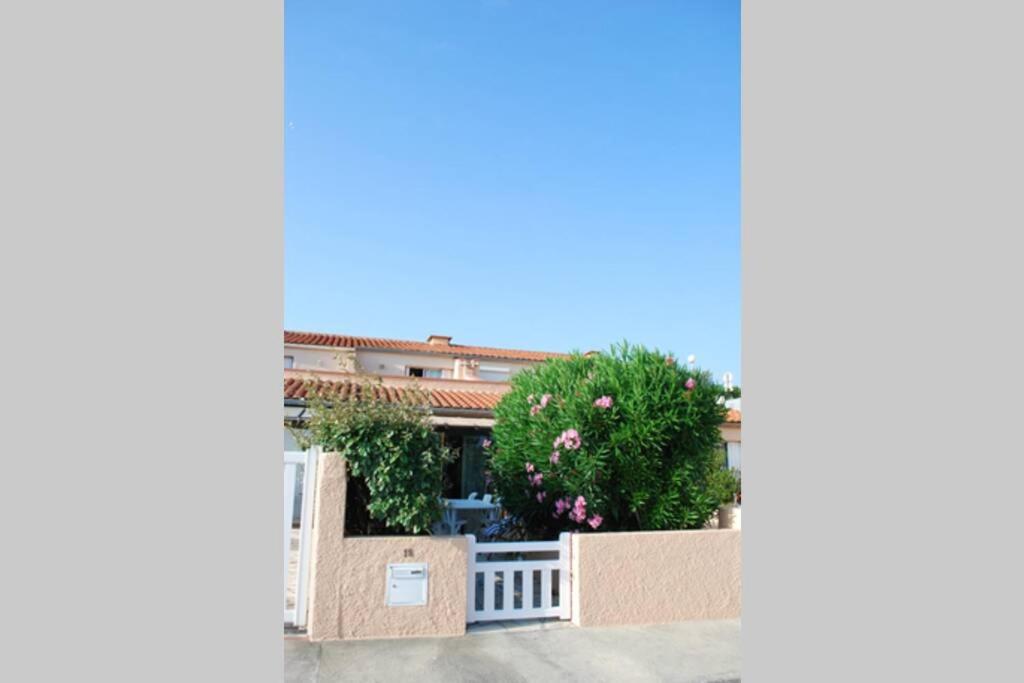 La Cataline, magnifique duplex vue sur mer - 4