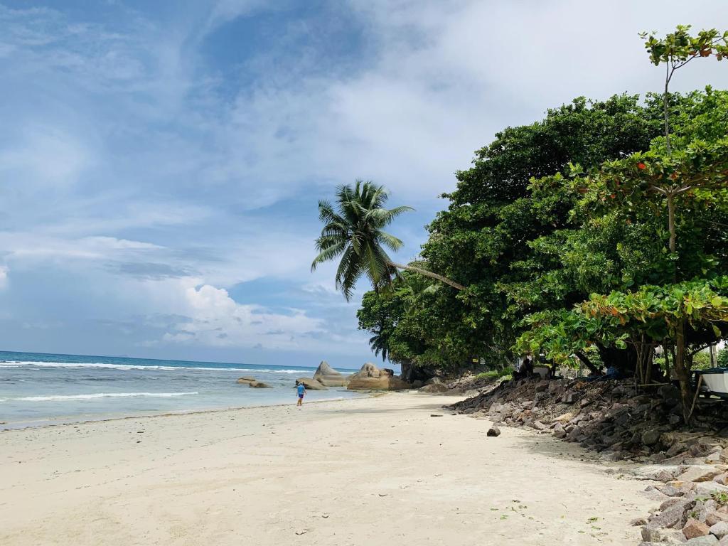 Oceanic View Lodges photo