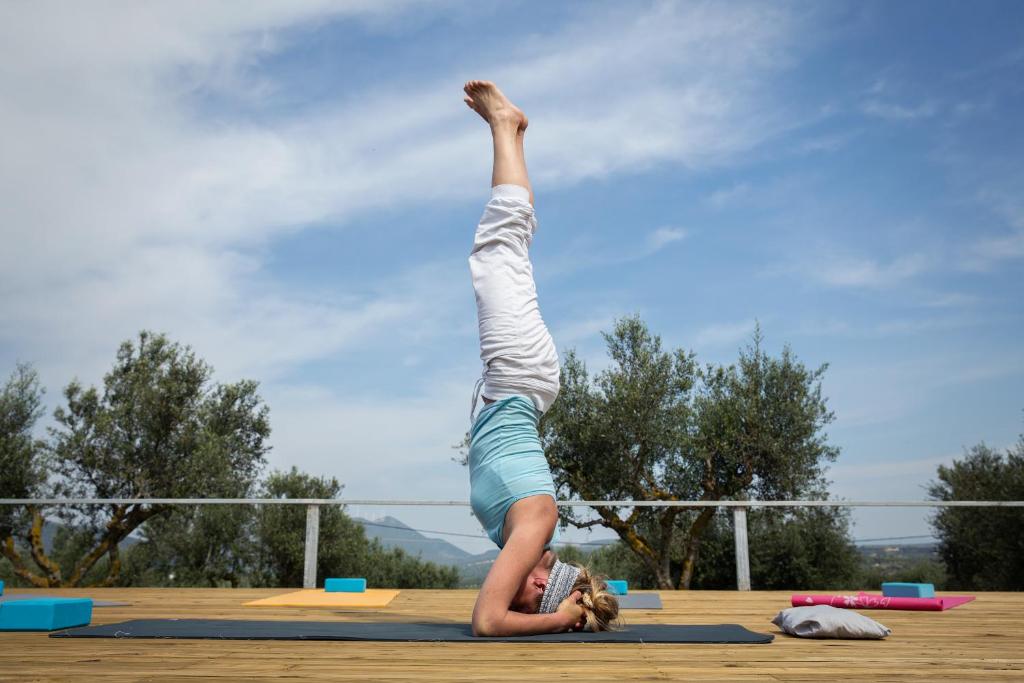 アクティビティ