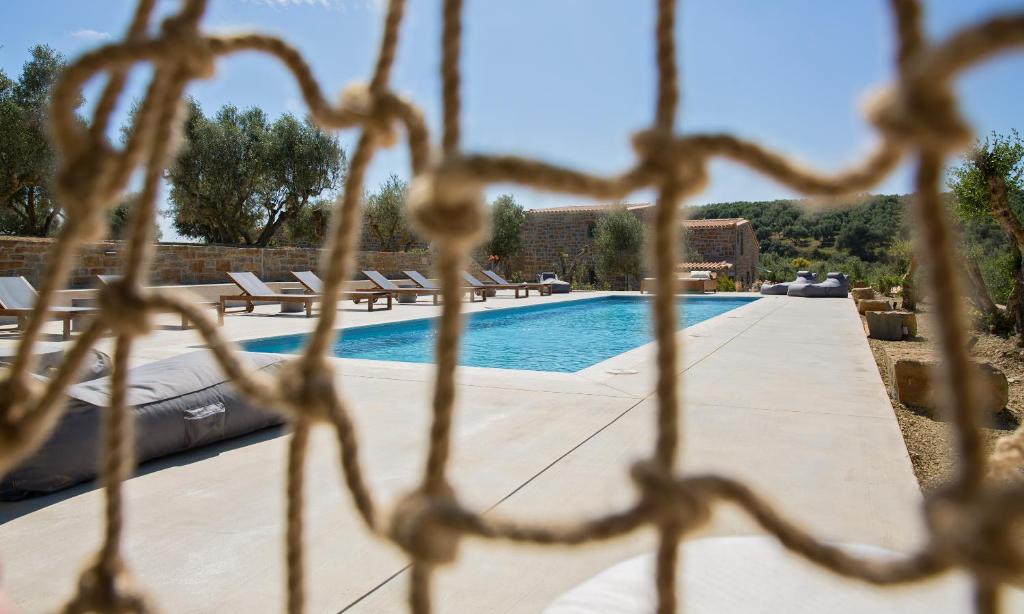 スイミングプール