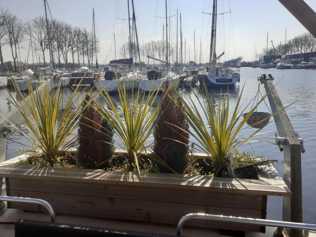 Magnifique bateau maison photo