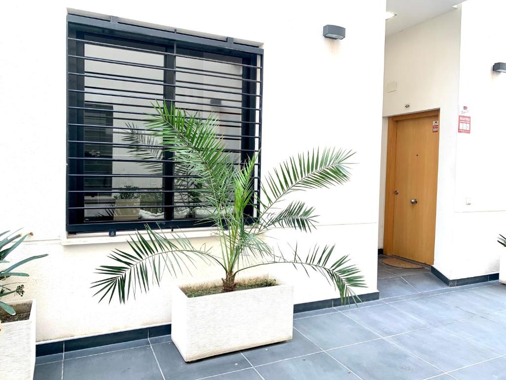 Homely Malaga Refino Loft D4 - 2
