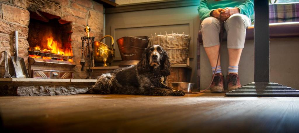 Dryburgh Arms Pub with Rooms photo