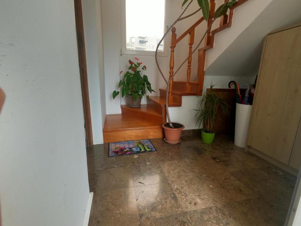 Rooms Jelena photo