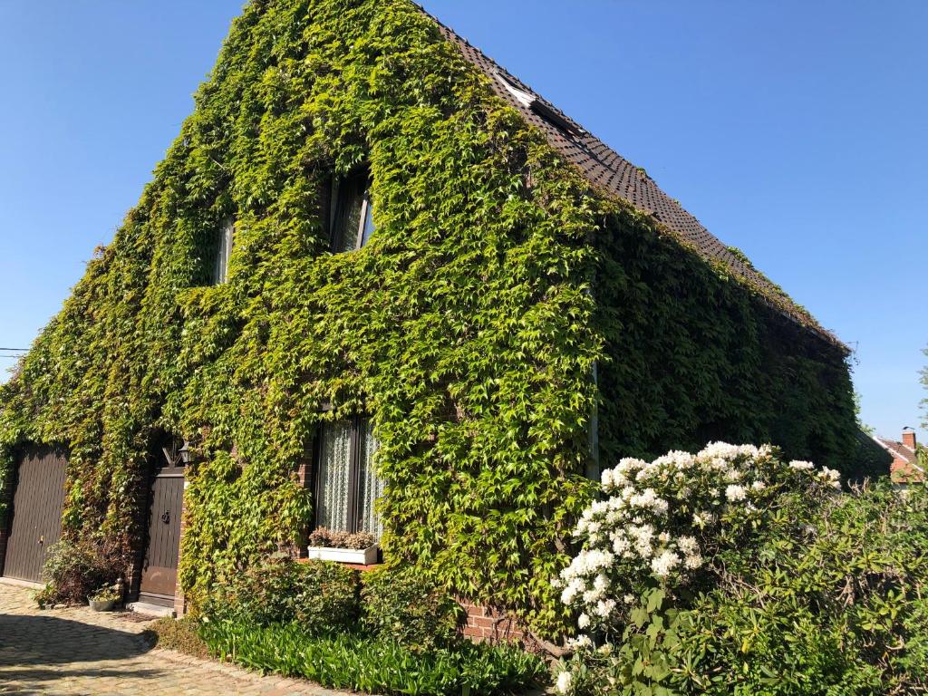 B&B Carisma, Lochristi