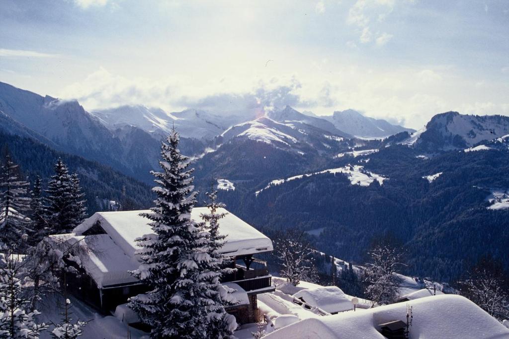 Les Chalets-Hôtel de la Croix-Fry - 1