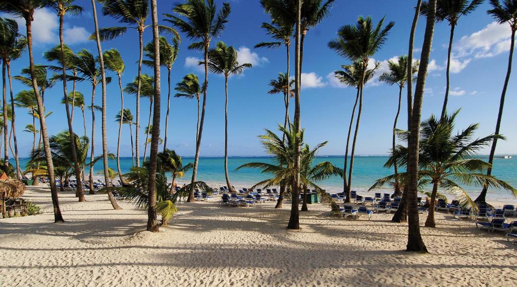 Barcelo Bavaro Beach - All Inclusive - Adults Only Photo 41