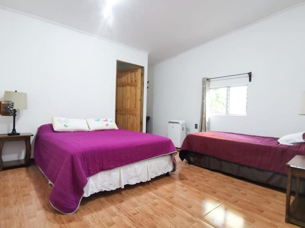 Casita happy feet and tours corcovado